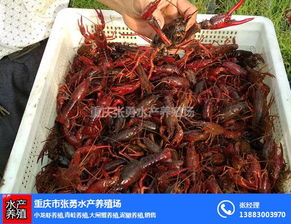 重慶市南川區張勇水產養殖場