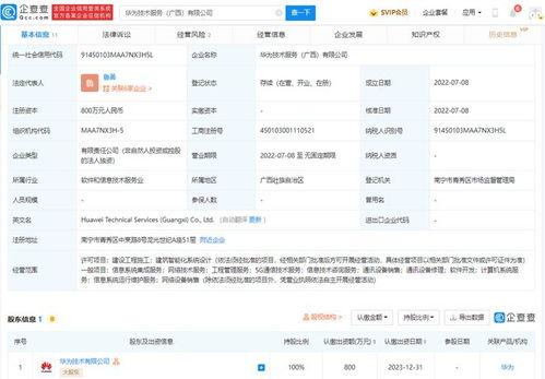 華為在廣西成立技術服務公司，助力區域信息技術咨詢發展